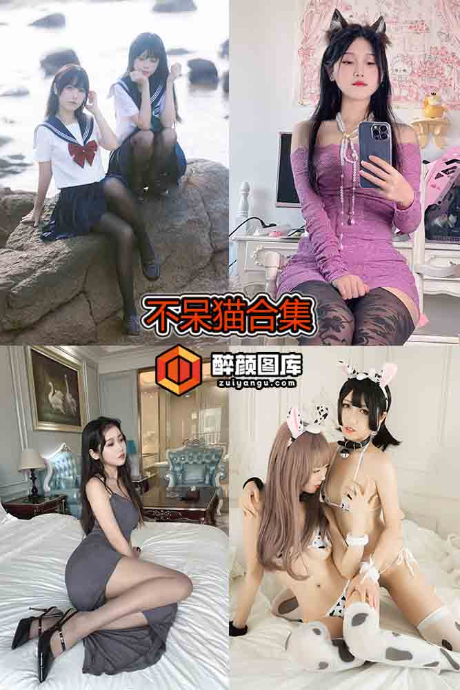 [终身特辑]不呆猫-49套资源合集[持续更新]