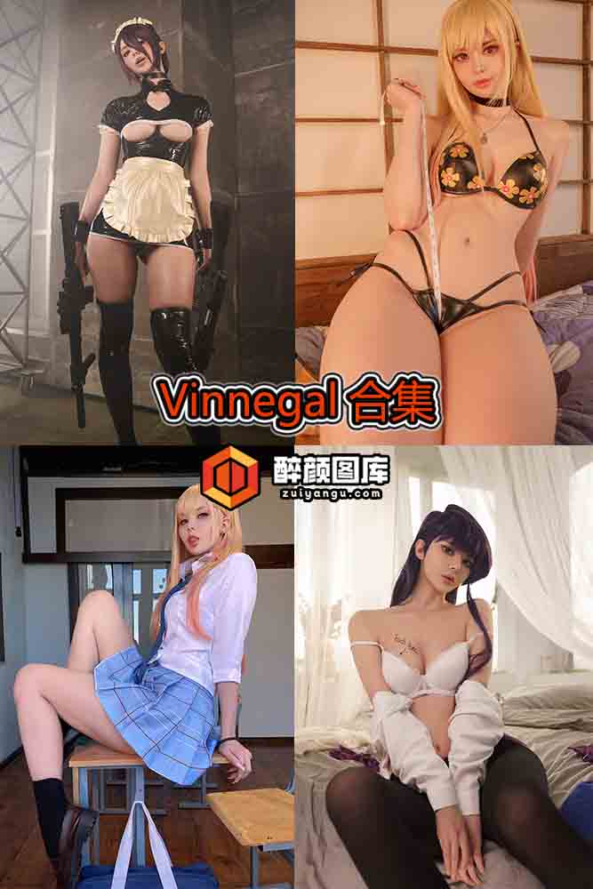[终身特辑]Vinnegal-25套资源合集[持续更新]