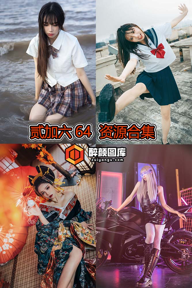 [终身特辑]贰加六64-64套资源合集[持续更新]