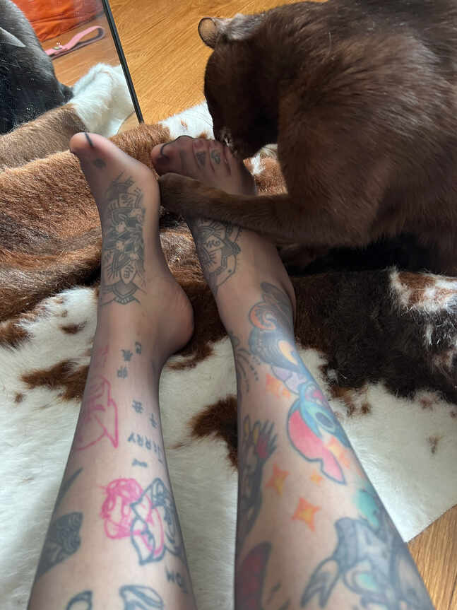 女子双腿穿着遍布彩色纹身的黑色透明连裤袜，一只棕色猫咪正在舔舐她的脚部，背景为兽纹地毯。